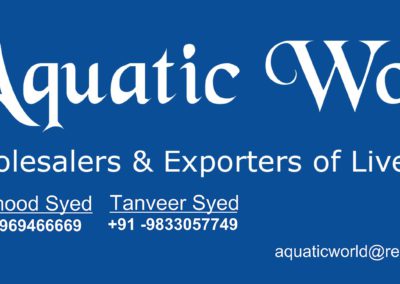 Logo Aquatic World